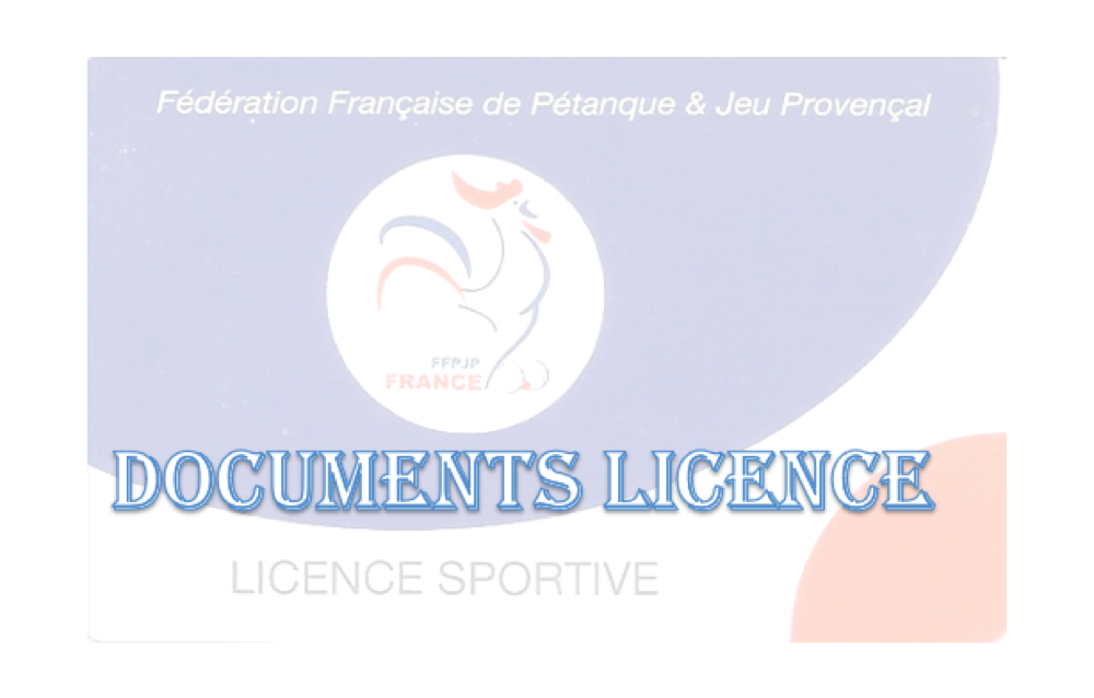 licence 1