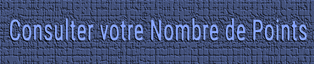 nouveau-site-consulter-ses-points-de-permis